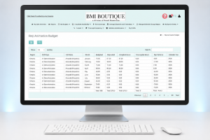 BMI Boutique Rep Animation Budget dashboard displaying consultant budget allocation, requested hours, accepted hours, variance, and monthly workforce budget tracking.