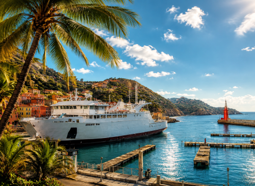 Business challenge and custom ferry booking platform solution for SeyFerry